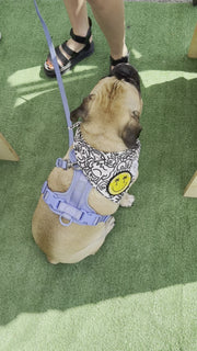 Dog Bandana Alien Line Art - Customize with Interchangeable Velcro Patches