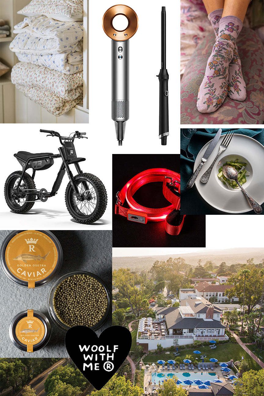 Holiday Gift Ideas 2025