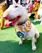 ★Dog Bandana Bananas - Customize with Interchangeable Velcro Patches