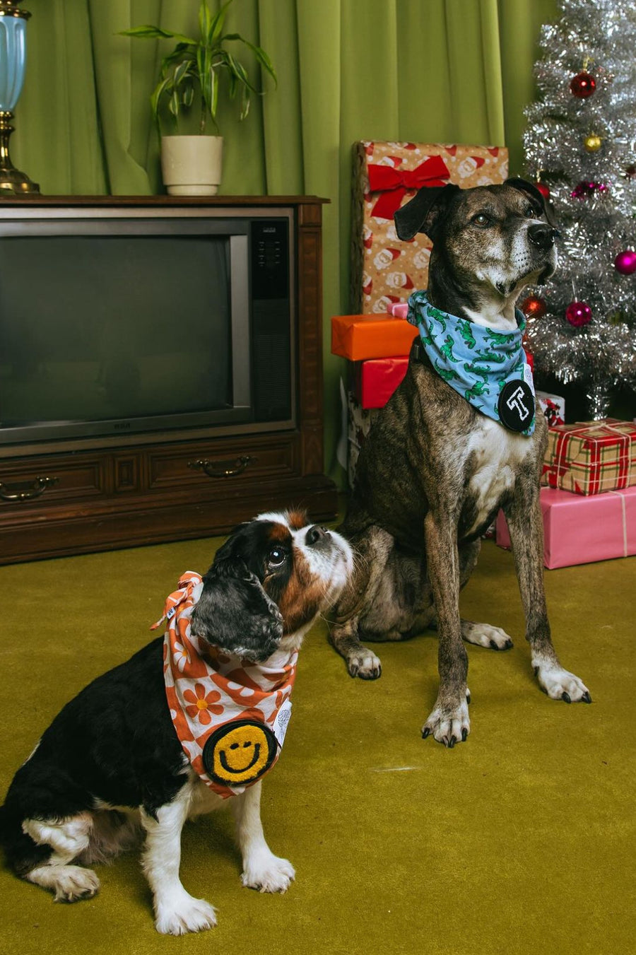 Dog Bandana Groovy Daisy - Customize with Interchangeable Velcro Patches