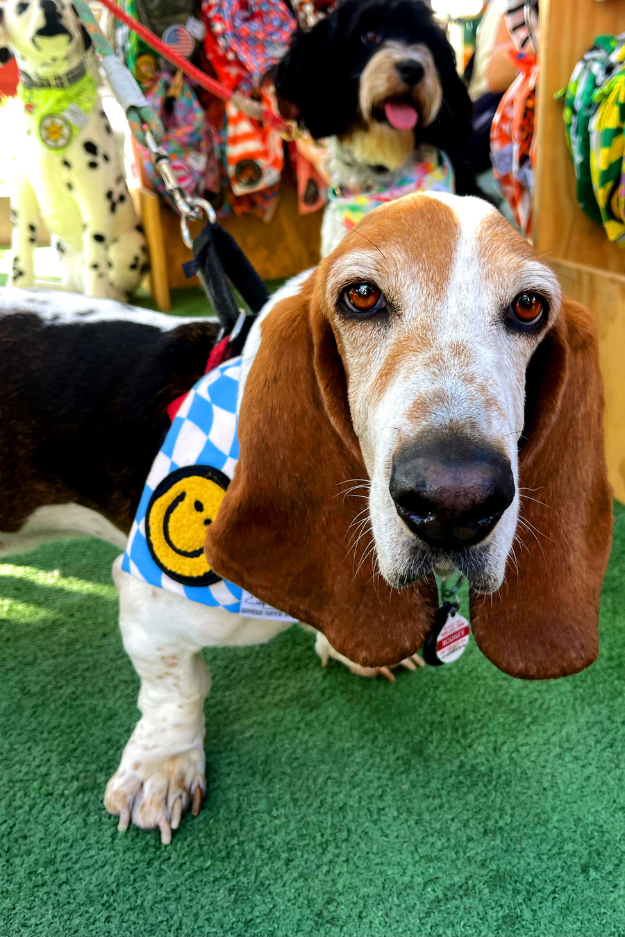 Dog Bandana Checkered Swirl - Customize with Interchangeable Velcro Patches
