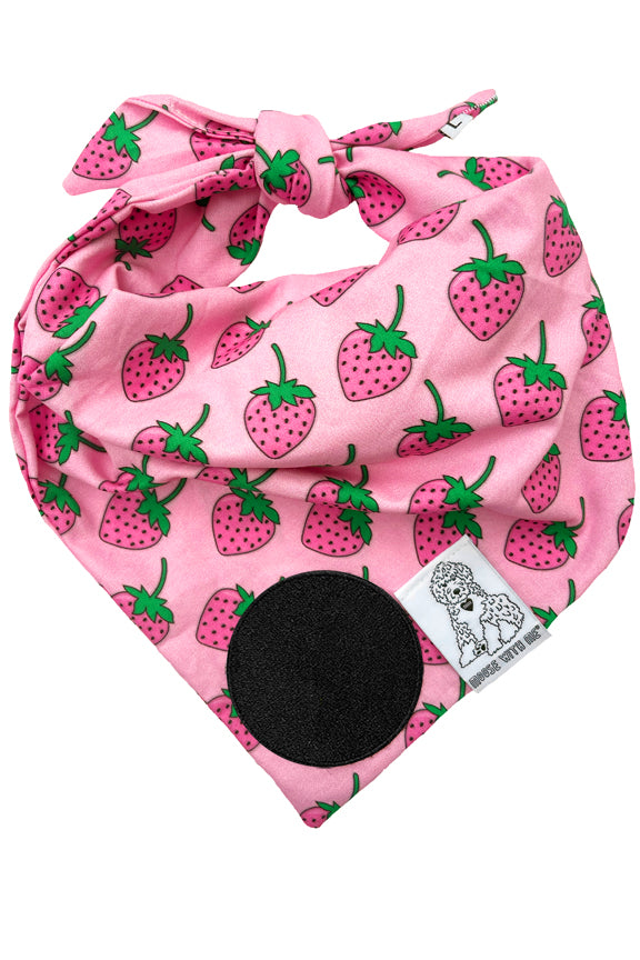 Dog Bandana Strawberry - Customize with Interchangeable Velcro Patches