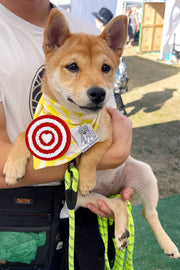 Dog Bandana Checkered Swirl - Customize with Interchangeable Velcro Patches
