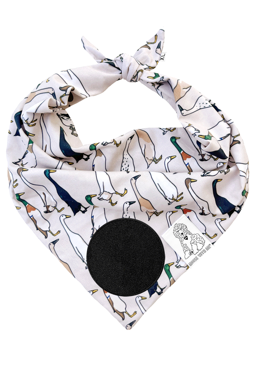 Dog Bandana Duck - Customize with Interchangeable Velcro Patches