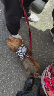 ★Dog Bandana Skulls - Customize with Interchangeable Velcro Patches