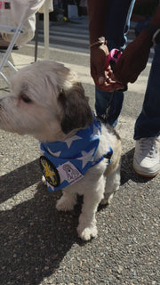 Dog Bandana Stars - Customize with Interchangeable Velcro Patches