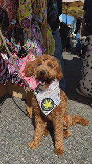 ★Dog Bandana Duck - Customize with Interchangeable Velcro Patches