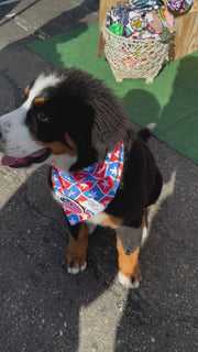 Dog Bandana Patriotic Stars - Customize with Interchangeable Velcro Patches