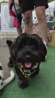 Dog Bandana Yellow Plaid - Customize by adding Interchangeable Velcro Embroidered Patches