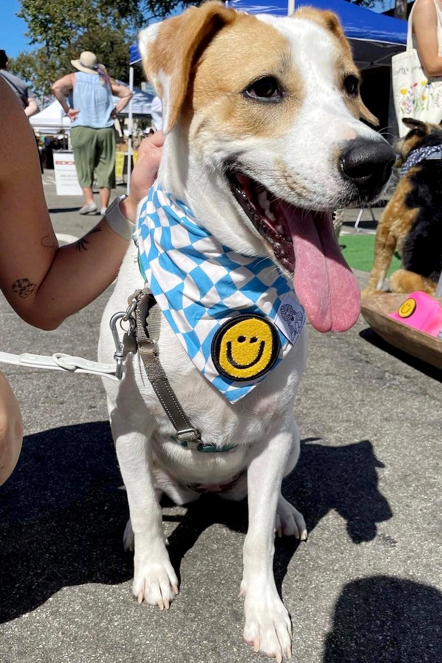 Dog Bandana Checkered Swirl - Customize with Interchangeable Velcro Patches