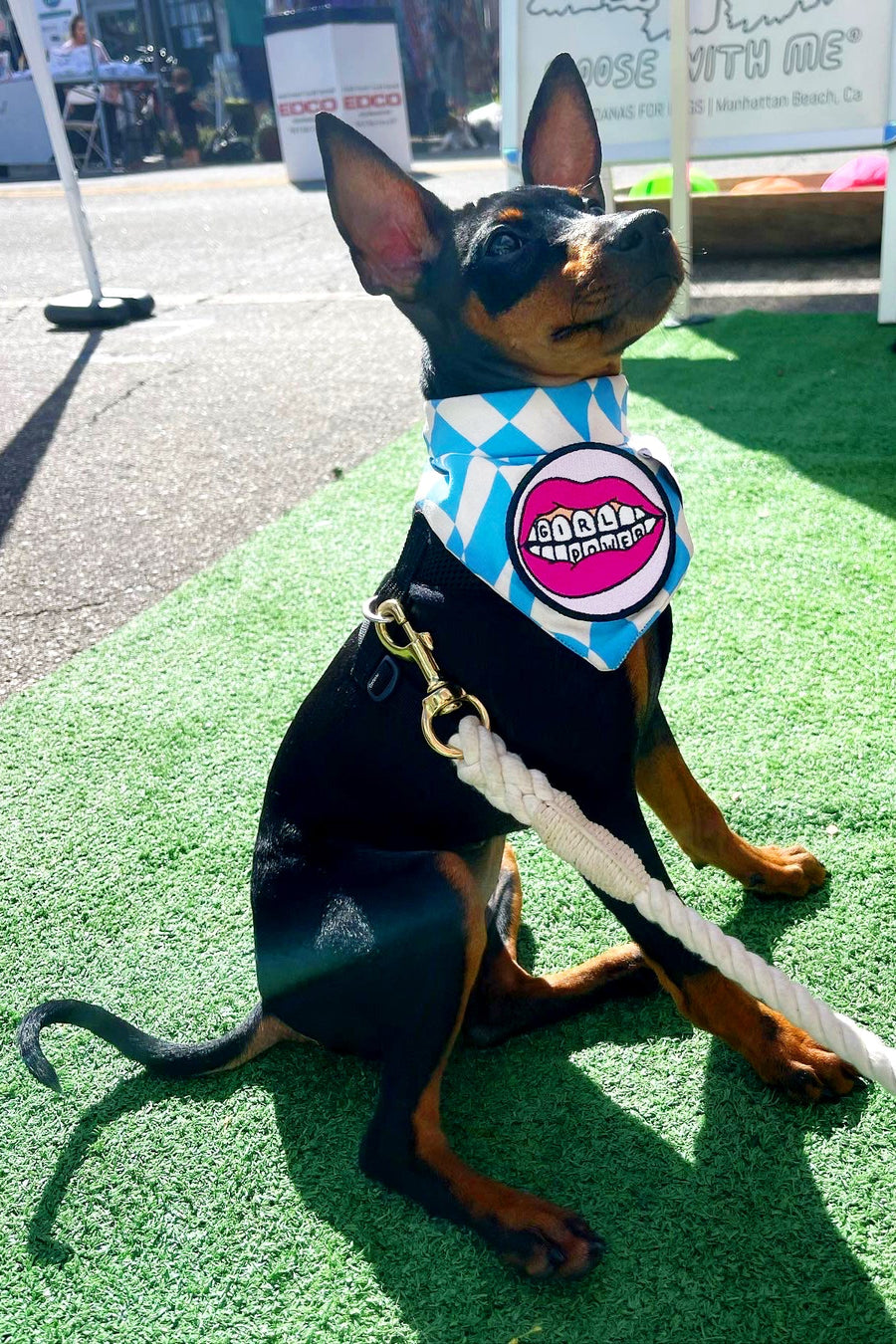 Dog Bandana Checkered Swirl - Customize with Interchangeable Velcro Patches