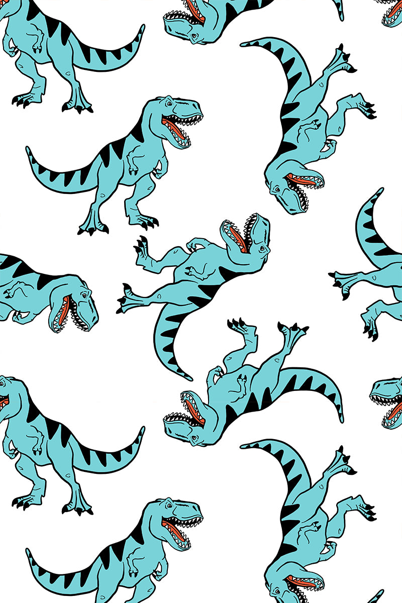 Organic Swaddle Blanket Dinosaurs