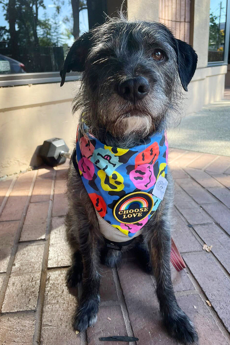 Dog Bandana Groovy Smiley Face - Customize with Interchangeable Velcro Patches