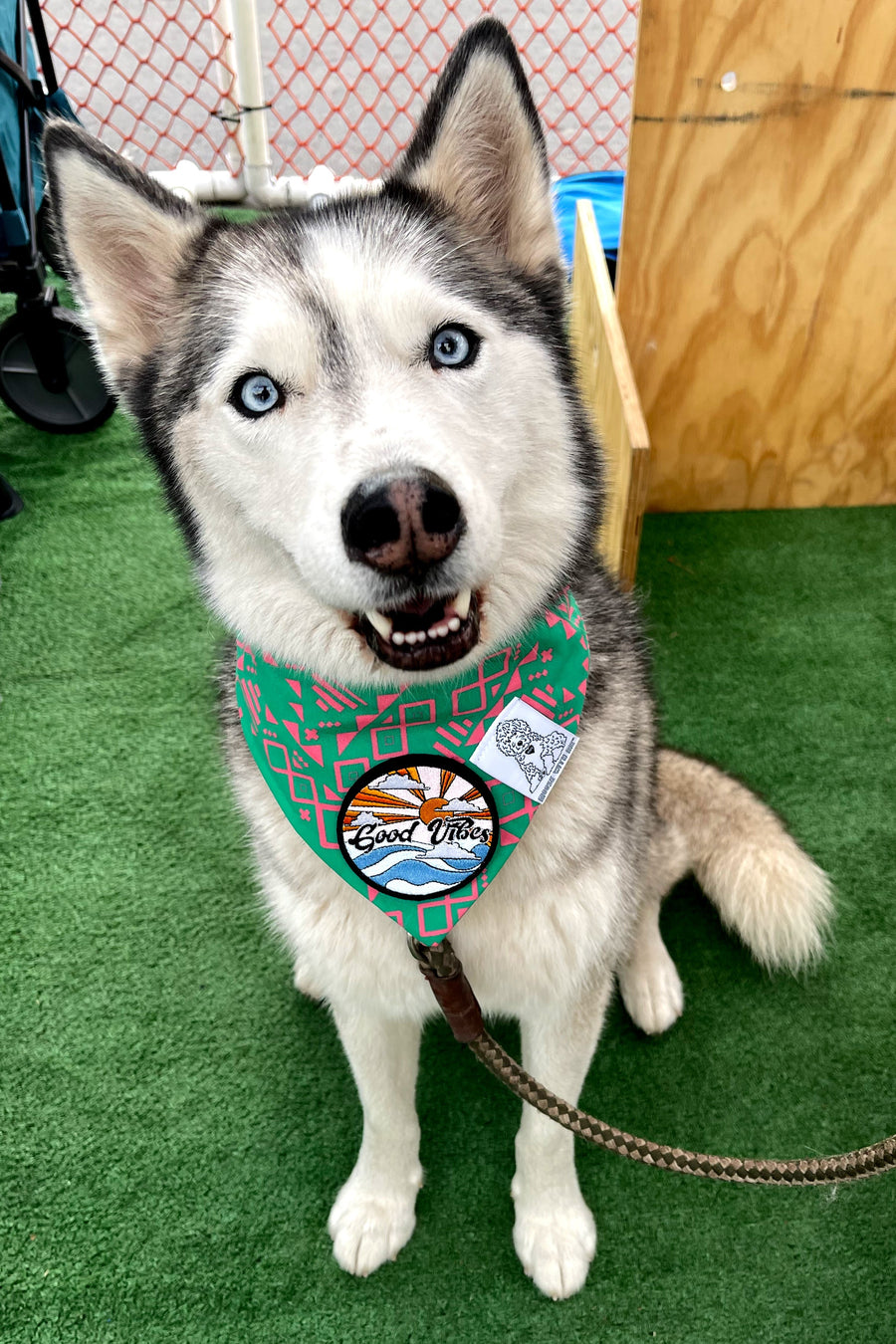 ★Dog Bandana Aztec - Customize with Interchangeable Velcro Patches