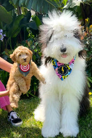 ★Dog Bandana Groovy Smiley Face - Customize with Interchangeable Velcro Patches