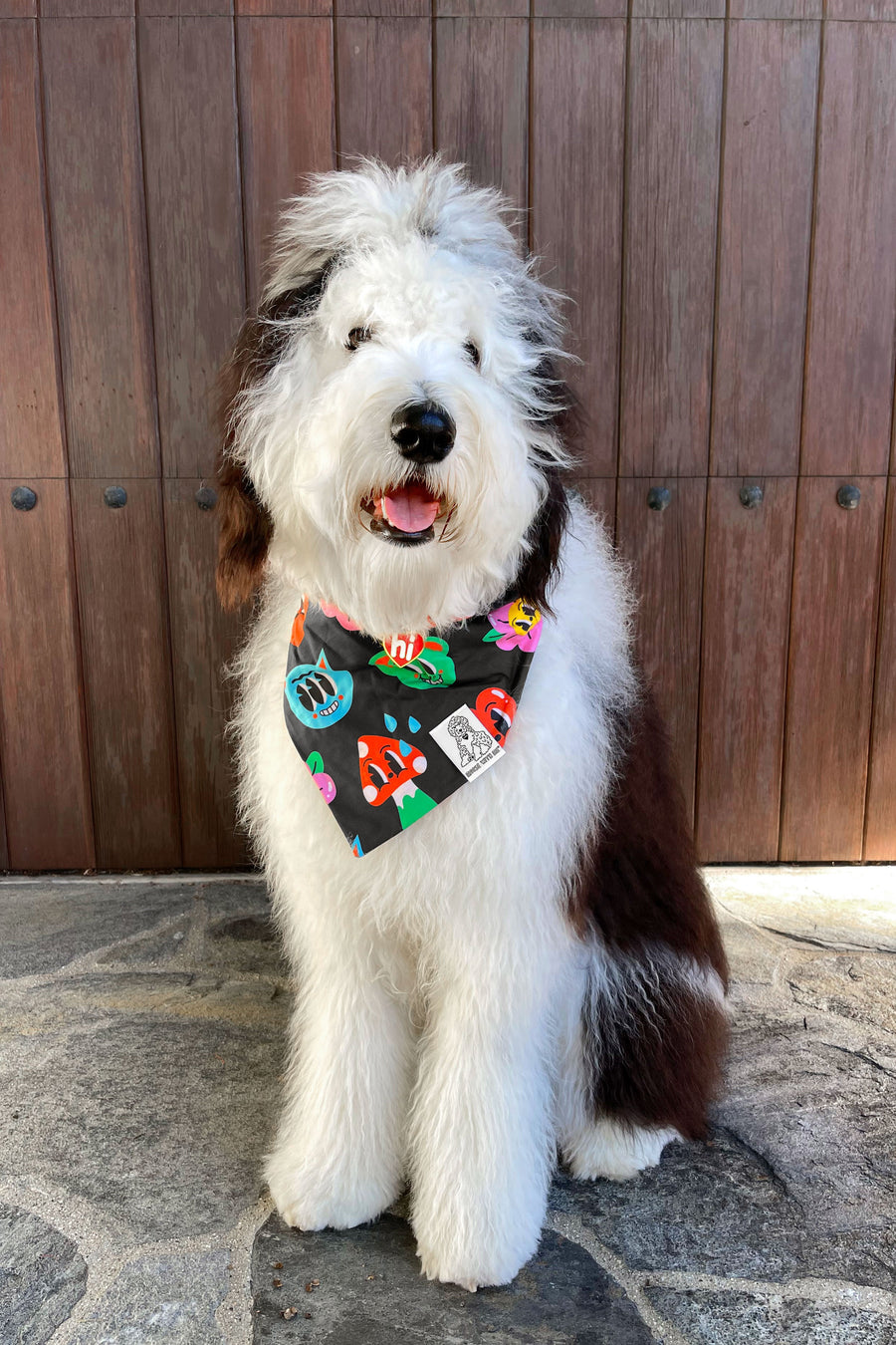 Dog Bandana One Up - Customize with Interchangeable Velcro Patches