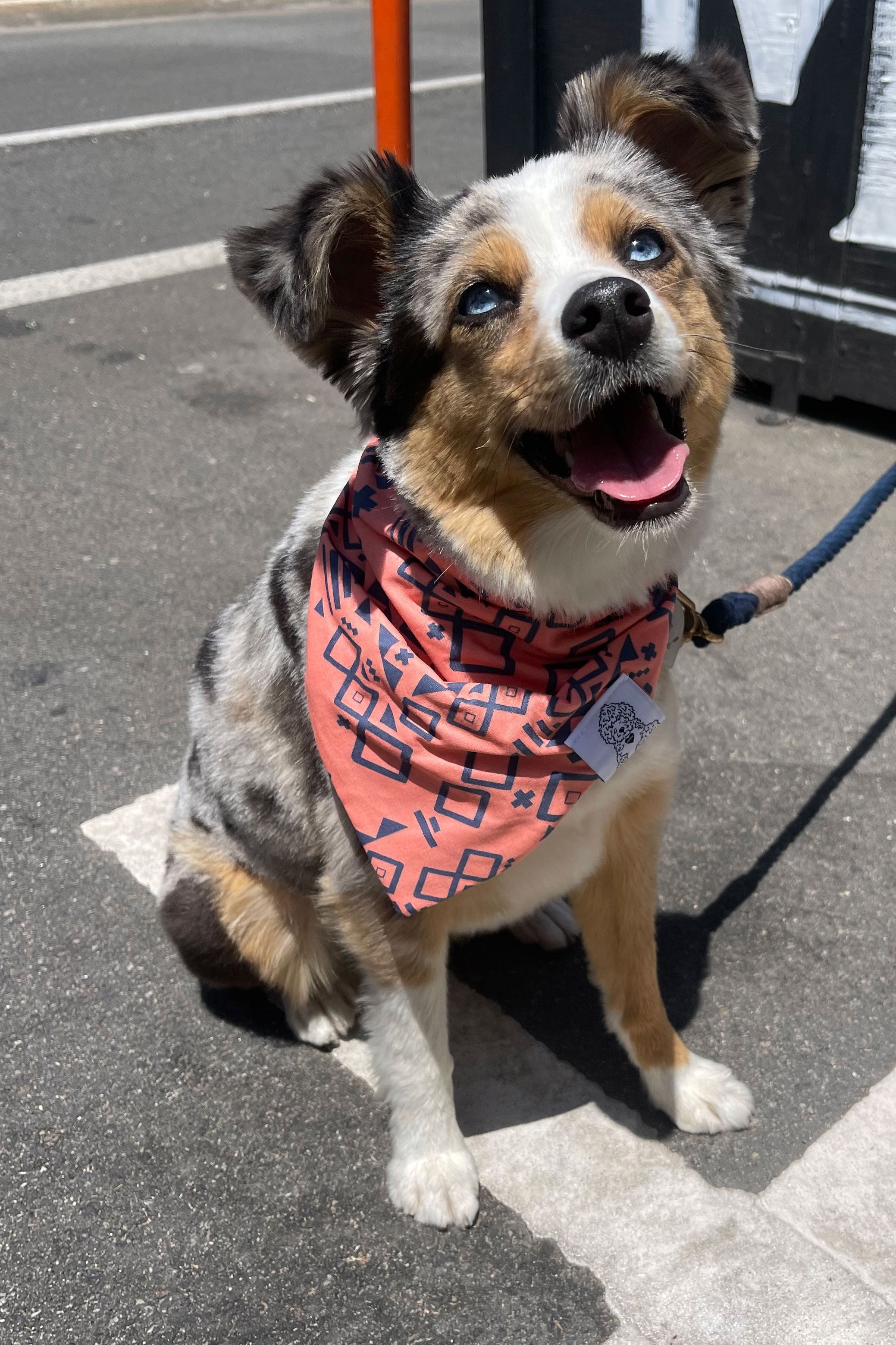 Dog Bandana Aztec - Customize with Interchangeable Velcro Patches