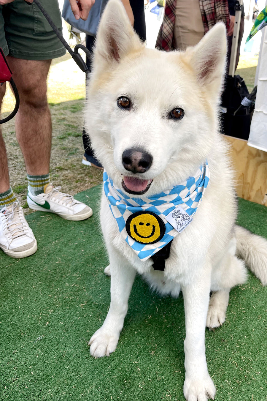Dog Bandana Checkered Swirl - Customize with Interchangeable Velcro Patches