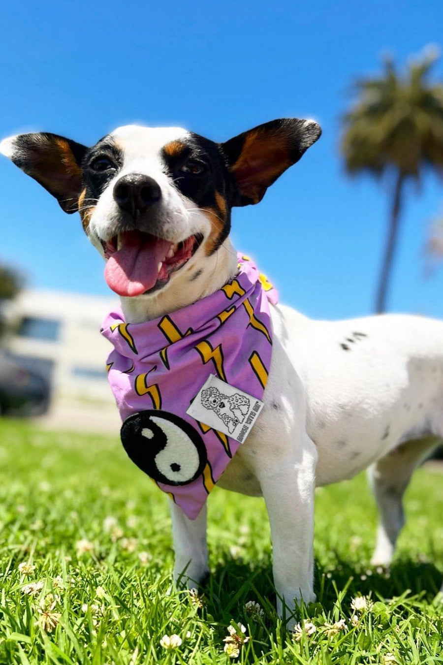 ★Dog Bandana Bolts - Customize with Interchangeable Velcro Patches