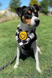 Dog Bandana Checkered Print - Customize with Interchangeable Velcro Patches