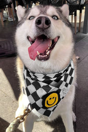 ★Dog Bandana Checkered Print - Customize with Interchangeable Velcro Patches