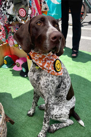 Dog Bandana Groovy Daisy - Customize with Interchangeable Velcro Patches