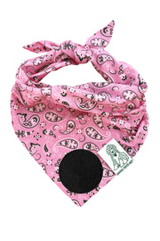 Dog Bandana Paisley - Customize with Interchangeable Velcro Patches