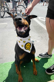 Dog Bandana Happy Face - Customize with Interchangeable Velcro Patches