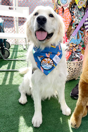 Dog Bandana Surfer - Customize with Interchangeable Velcro Patches