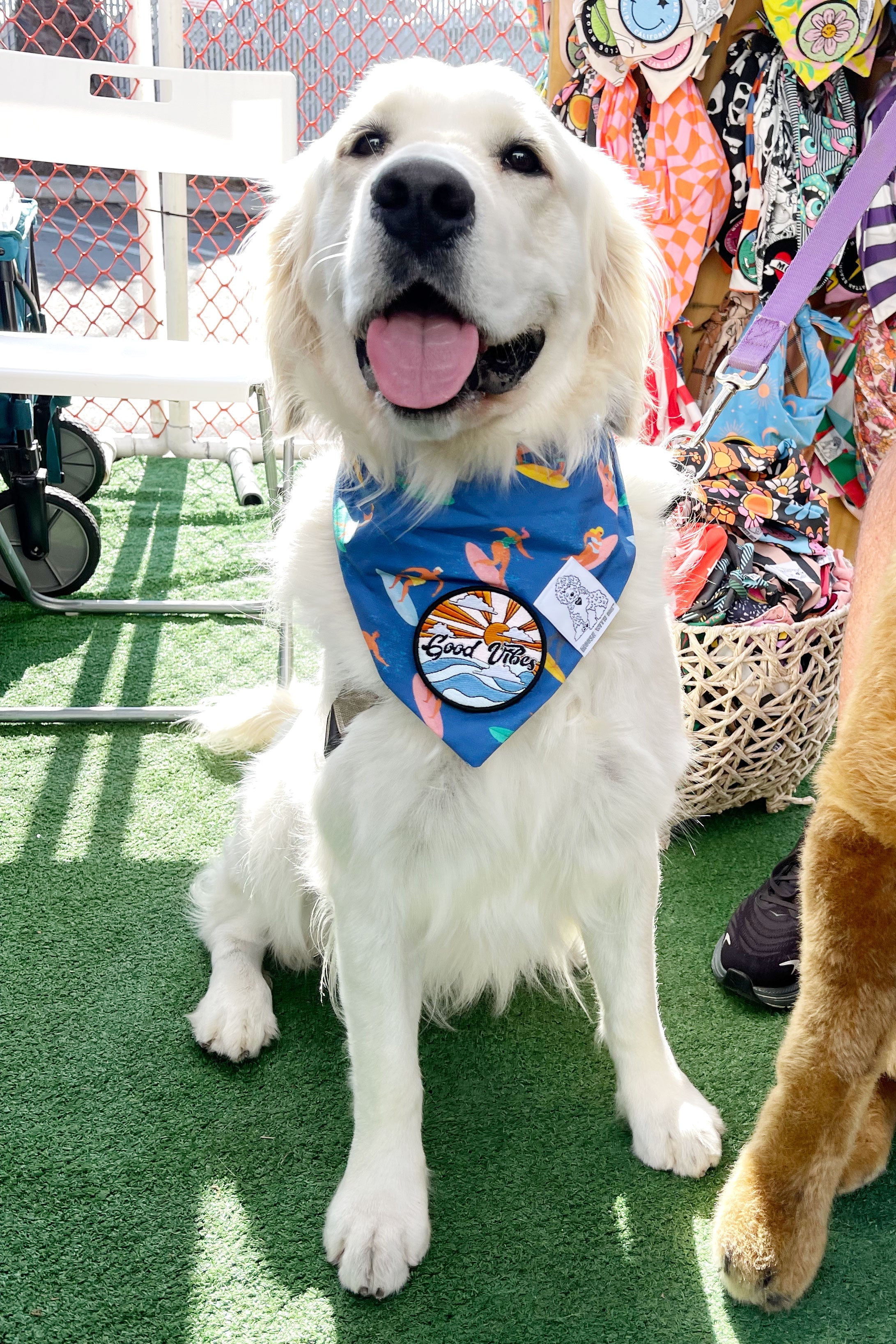 ★Dog Bandana Surfer - Customize with Interchangeable Velcro Patches