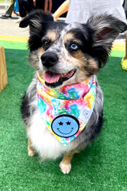 Dog Bandana Tie Dye - Customize with Interchangeable Velcro Patches